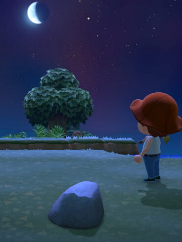 animal crossing new horizons