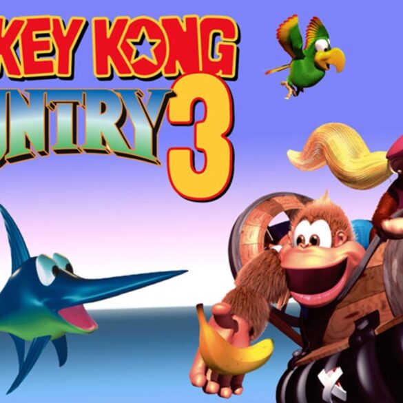 Donkey Kong Country 3